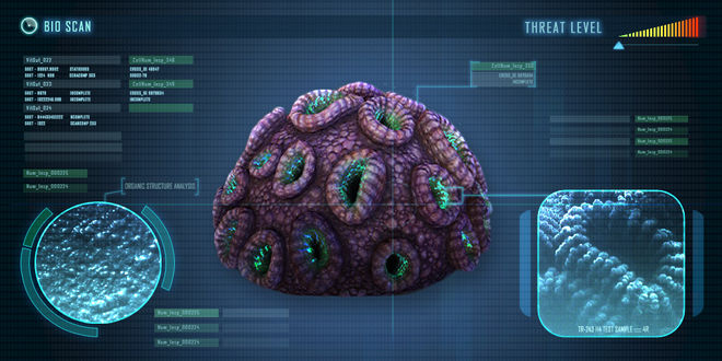 brain
